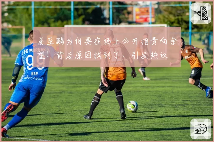 姜至鹏为何要在场上公开指责向余望！背后原因找到了，引发热议